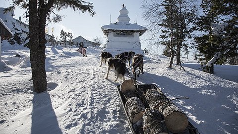 Качканарская мечта