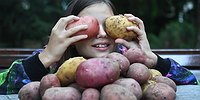Треть урожая овощей и картошки не доезжает до прилавка
